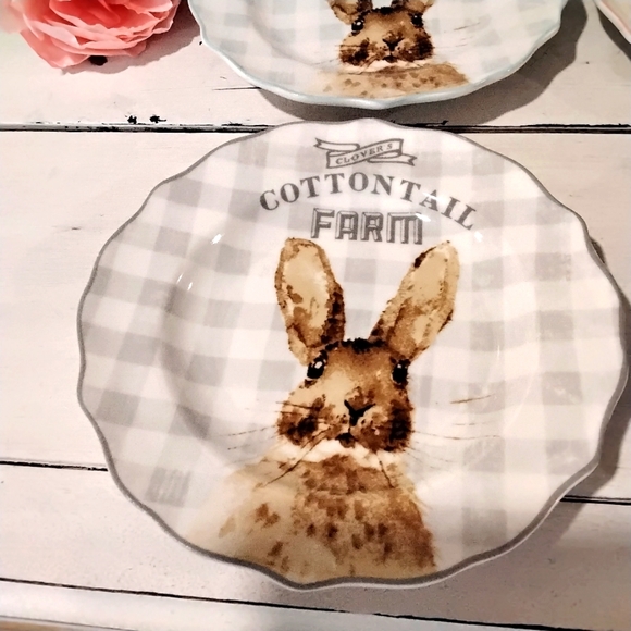 Cottontail Farms Bunny Rabbits Plates 🐇 nwob - Picture 4 of 6